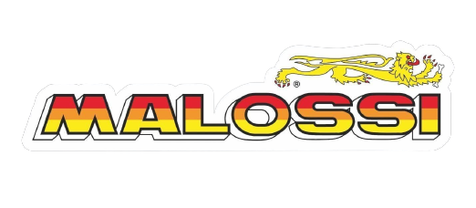 Malossi woord logo 13 x 3 cm