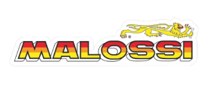 Malossi woord logo 13 x 3 cm